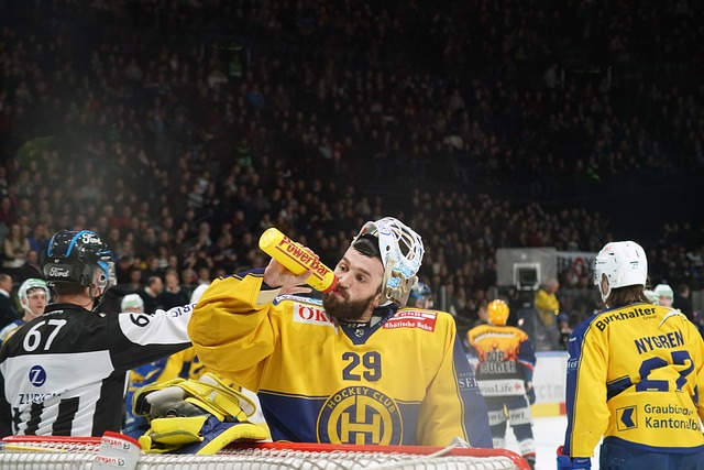 Økonomi i ishockey udstyr, klubber og løbende omkostninger